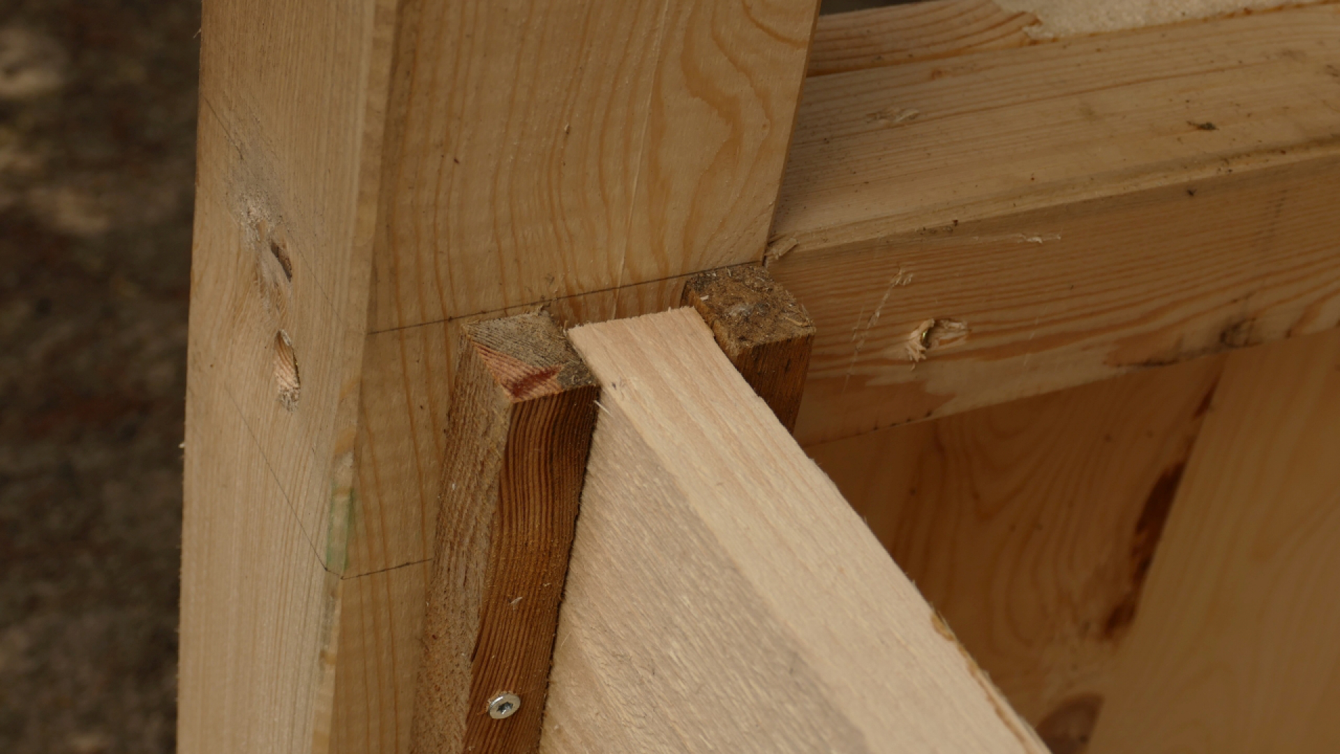 Bretter herausnehmbar vorne