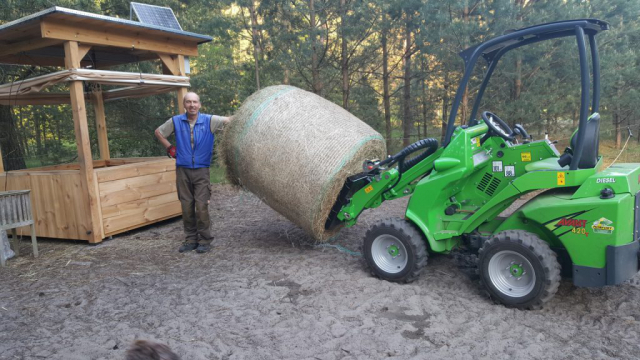 Raufe wird mit Heu befüllt